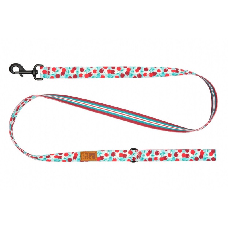 RC Pets Eco Dog Leash 1″x5′ Cherry Picnic Orchard Stripe