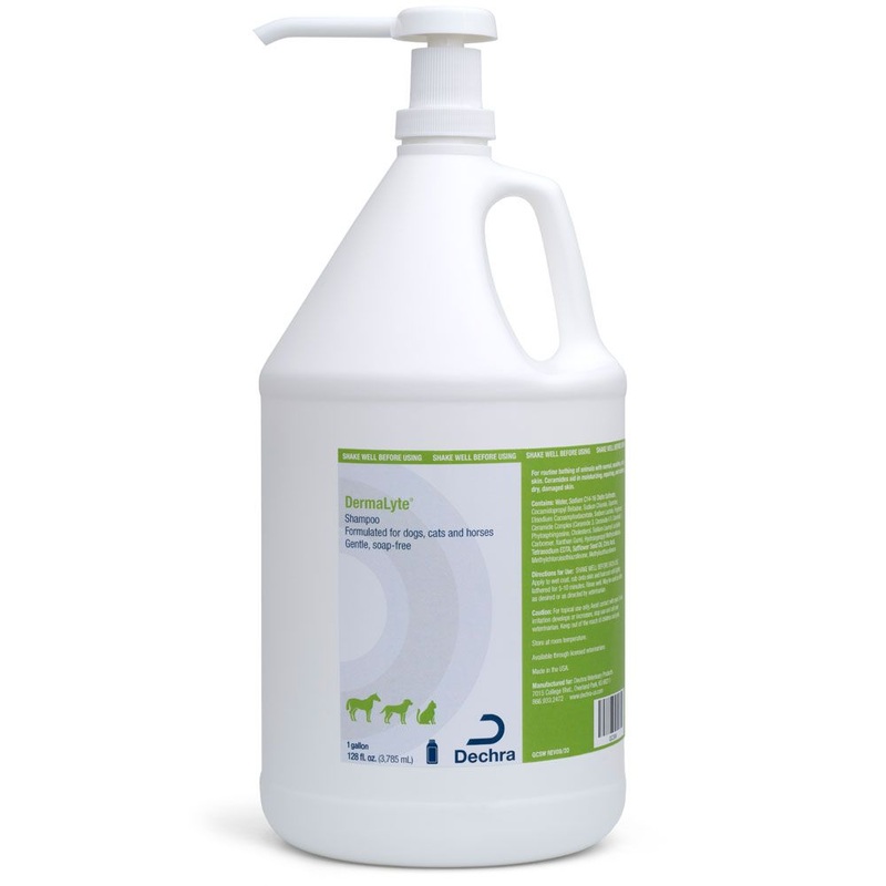 DermaLyte Shampoo 12 oz