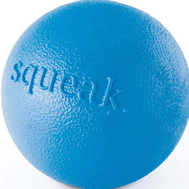 Outward Hound Planet Dog Orbee-Tuff Squeak Ball Dog Toys Blue