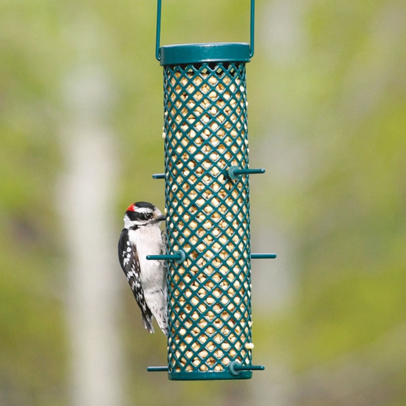 Tall Nugget Feeder