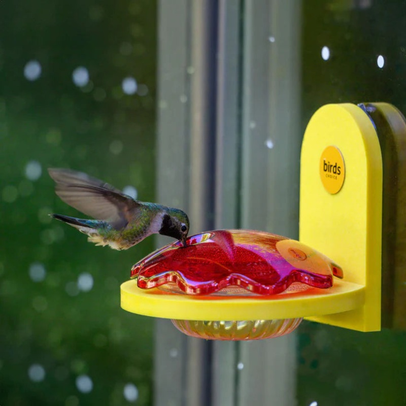 Window Mount Hummingbird Feeder, Yellow