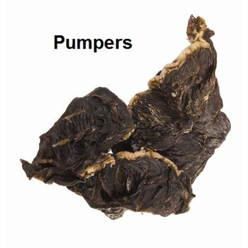 Jones Natural Chews Pumpers Dog Treat