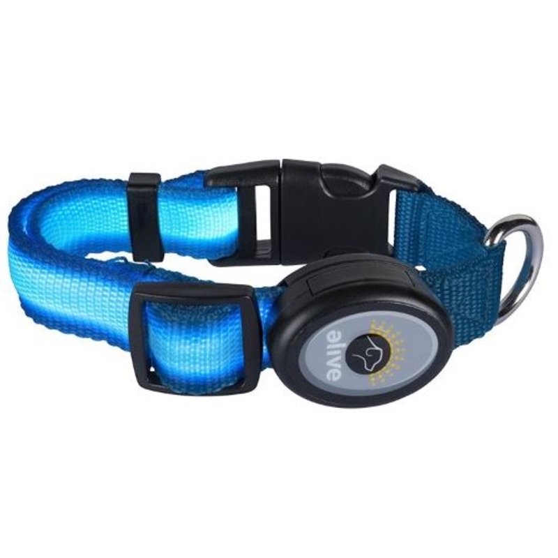 Elive LED Dog Collars