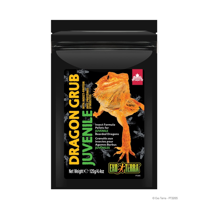 Exo Terra Juvenile Dragon Grub 4.4 oz
