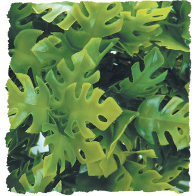 Zoo Med Natural Bush Plant Amazonian Phyllo Small 14 Inch