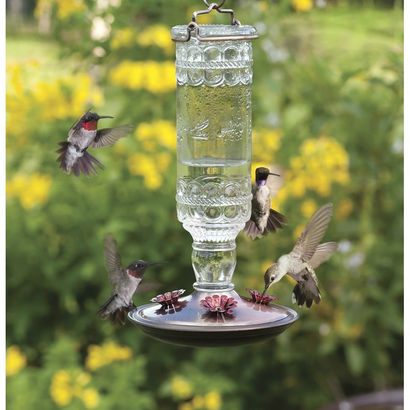 Clear Antique Hummingbird Feeder