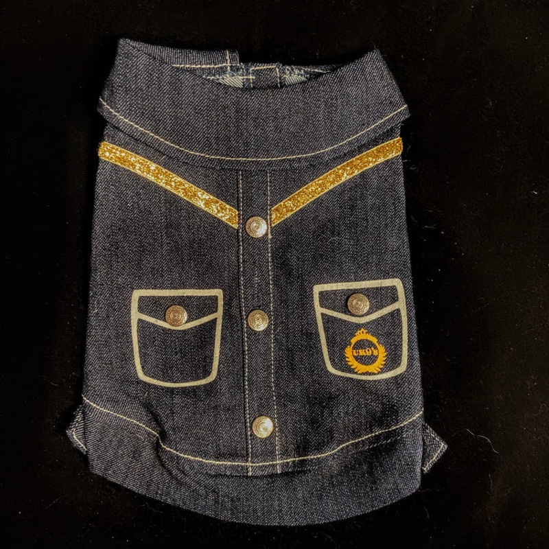 Country Denim Dress Top with Glitter Gold Stitching & Pocket Decals 10″