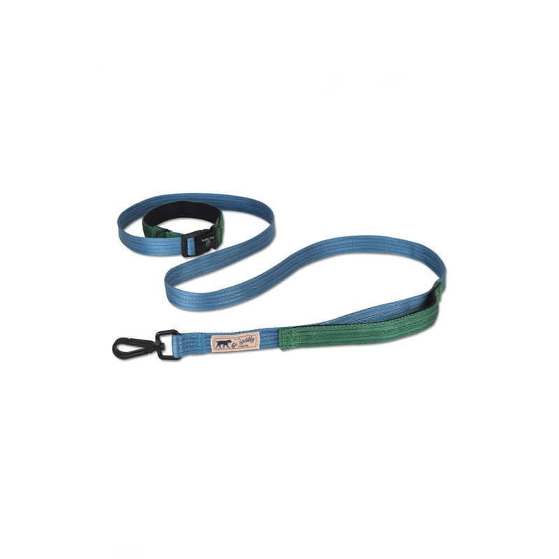 Hamilton Ocean and Green Multi-Functional Leash Medium/Large
