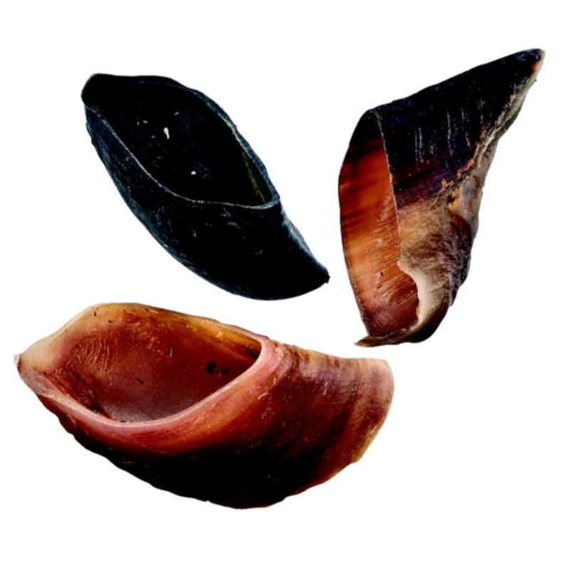 Jones Natural Chews Hoof