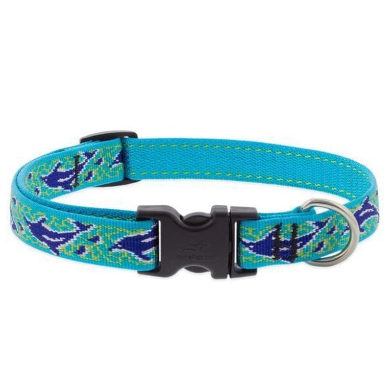 Lupine Collar 3/4″ Wide x 15-25″ Neck Size Dolphin Bay