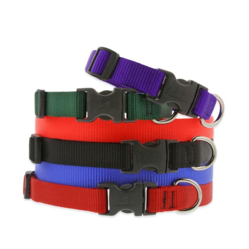 Lupine Pet Basic Solids Dog Collar Blue 1/2″ X 6″-9″
