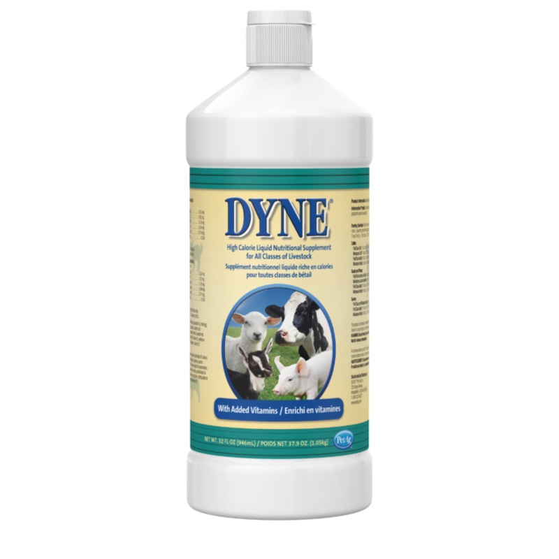 PetAg Dyne High Calorie Liquid Nutritional Supplement for Livestock