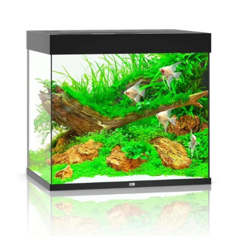 Juwel Lido 200 LED Aquarium Only – Black
