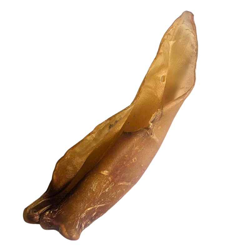 Buffalo Ear & Meat – Single Large Ear