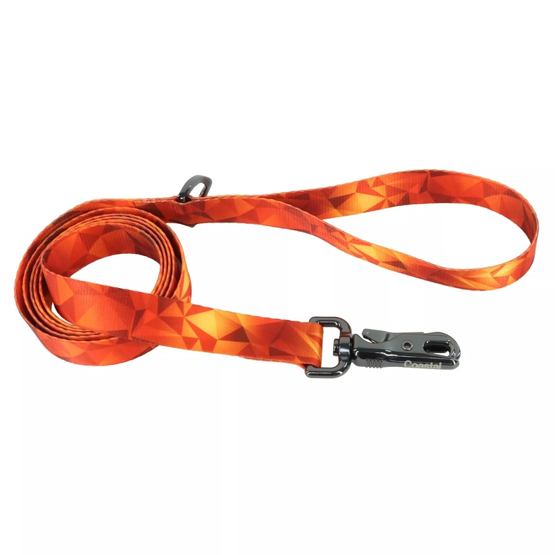 Coastal Pet Products Inspire Fashion Dog Leash in Blazing Shards 5/8 in x 6 ft