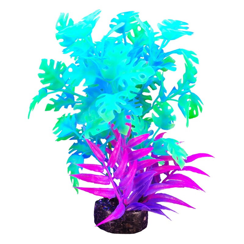 Marina iGlo Plant 5.5″/14 cm GPP-00908
