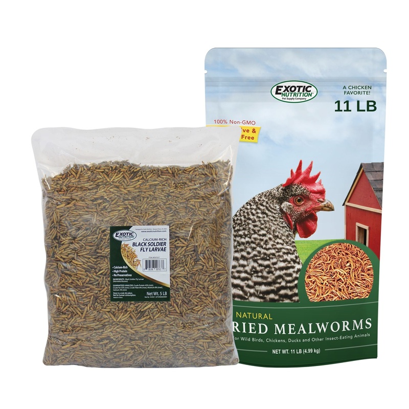 Worm Value Pack / 11 lb. Mealworms + 5 lb. Black Soldier Fly Larvae
