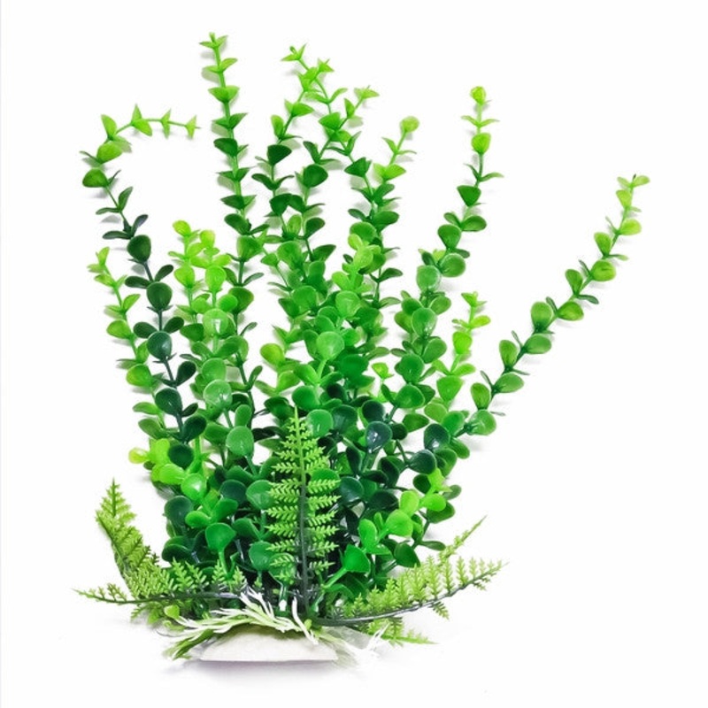 AquaTop Aquarium Plant Elodea 6 Inch