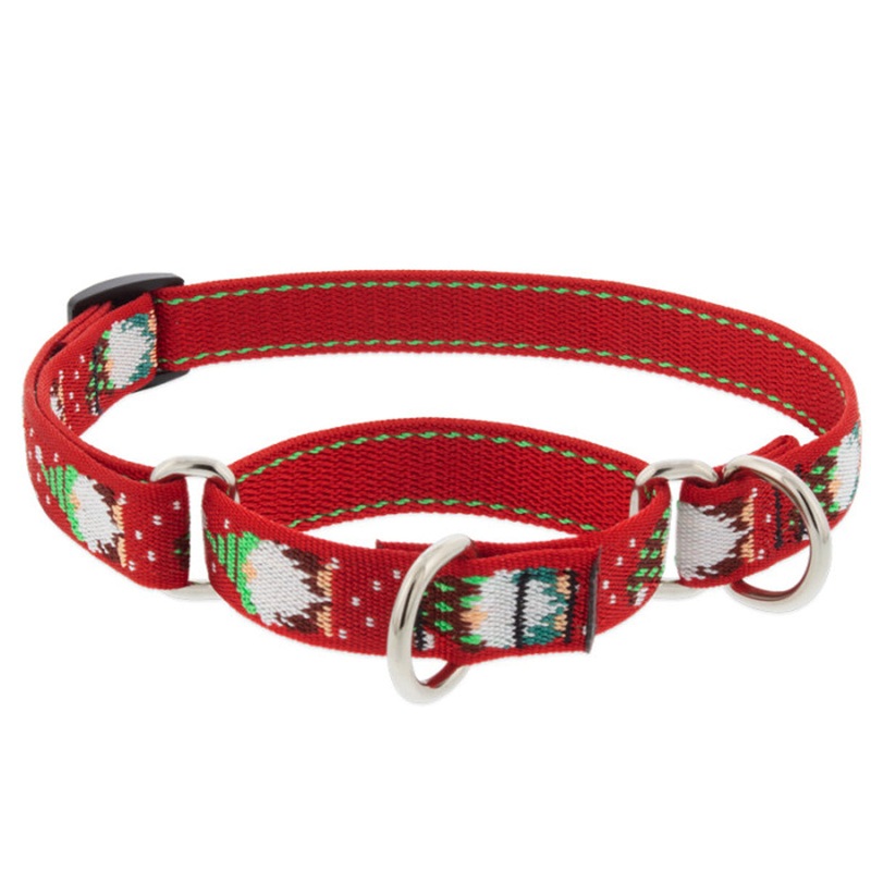 Lupine Martingale Training Dog Collar 3/4″ Wide 10″-14″ Neck Size Gnomes