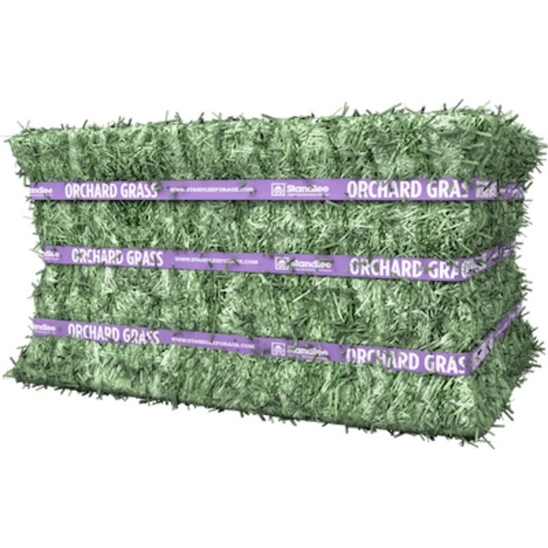 Standlee Premium Orchard Grass Compressed Bale