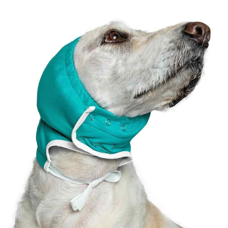 Veterinary Bonnet Small