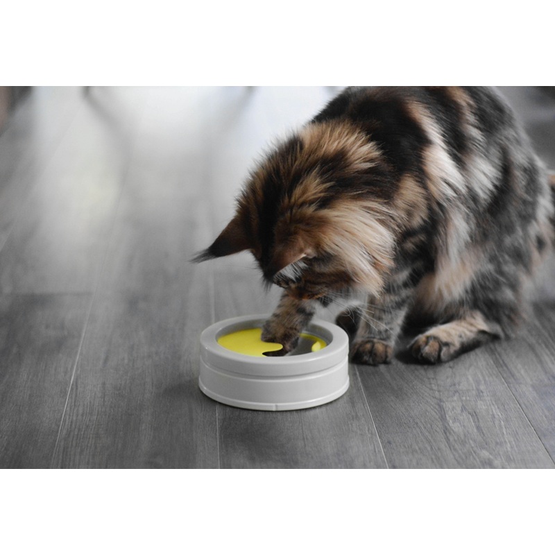 BeOneBreed Intellikatt Interactive Cat Bowl