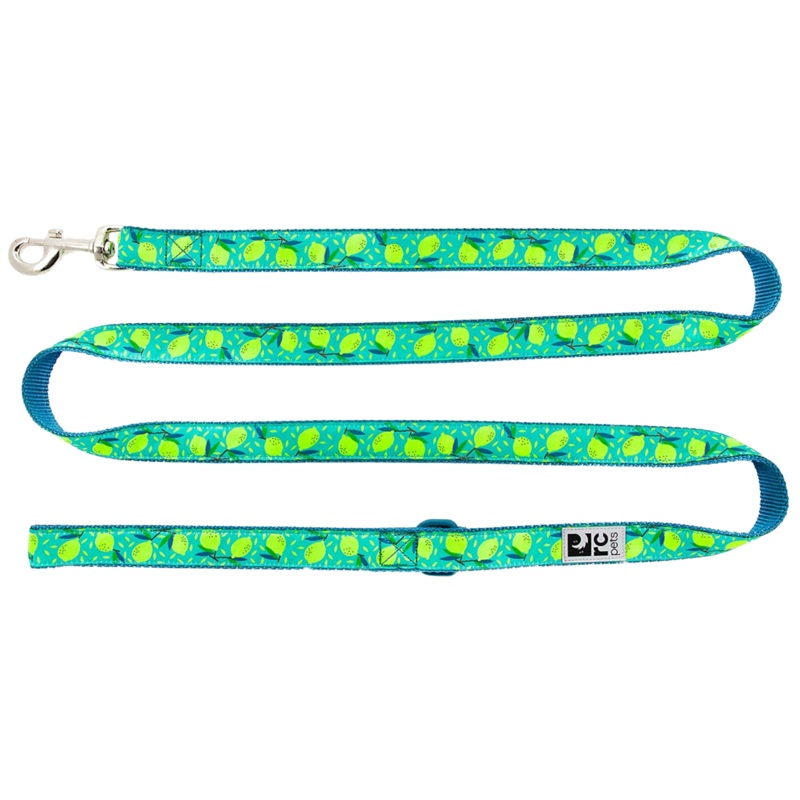 Dog Leash Lemonade 1″ 6′