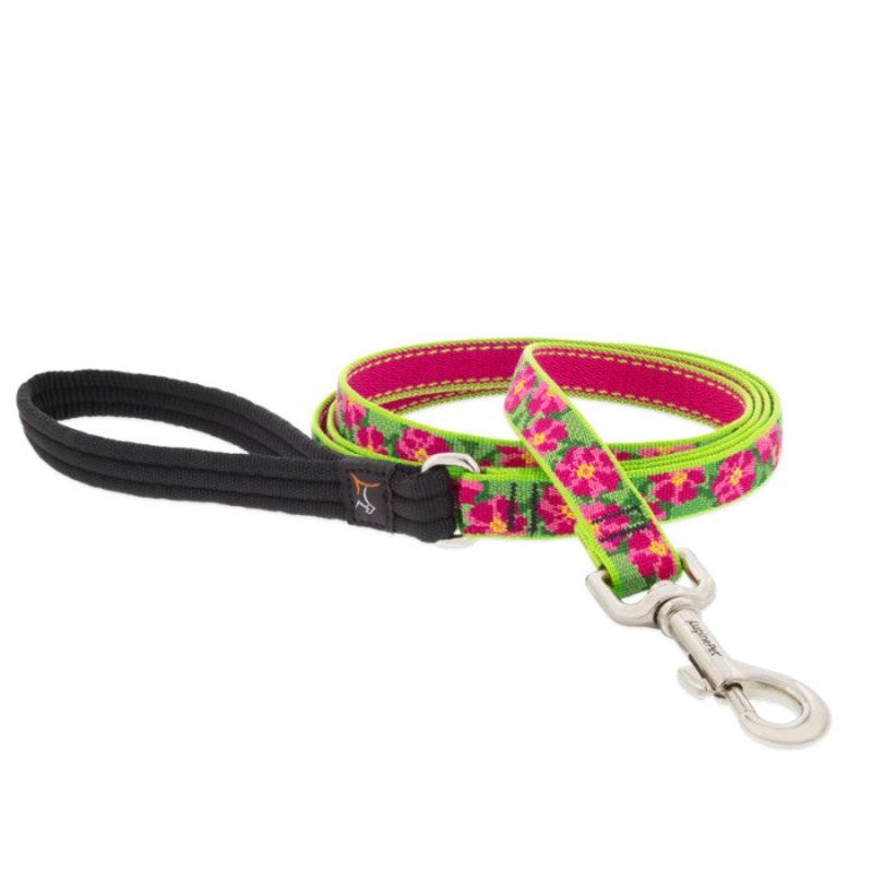 Lupine Dog Leash 3/4″ x 4′ Petunias