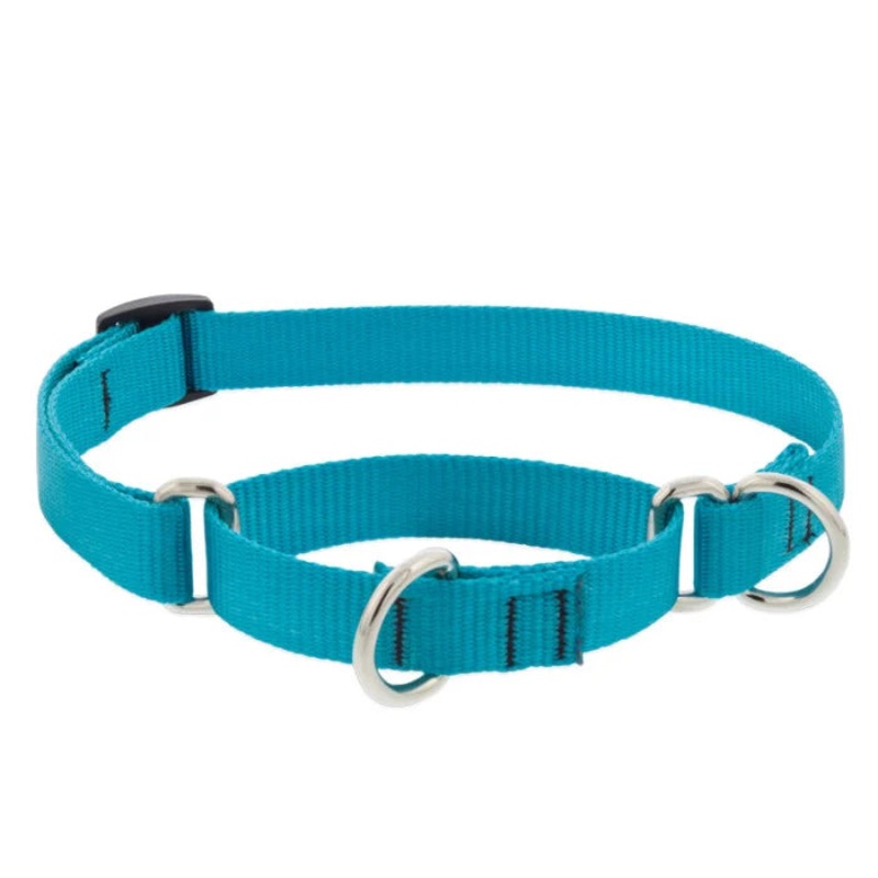 Lupine Pet Basic Solids Martingale Collars for Training 1″ Width 19-27″ Blue