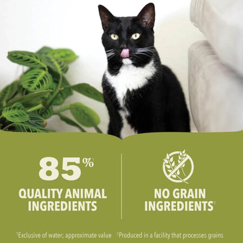 ACANA Premium Pt, Beef, Chicken & Tuna Recipe Wet Cat Food 3 Oz Single