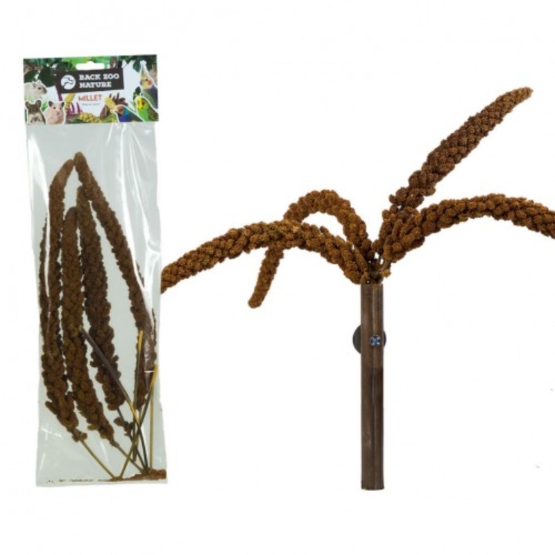 Back Zoo Nature French Millet Red Spray 150g  Natural Treat for Birds & Parrots