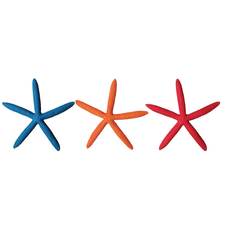 Hermit Crab Starfish Orange