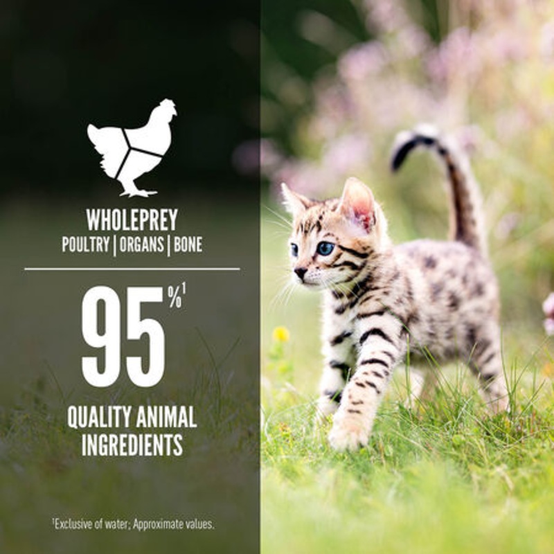 ORIJEN Chicken & Salmon Entre Wet Kitten Food