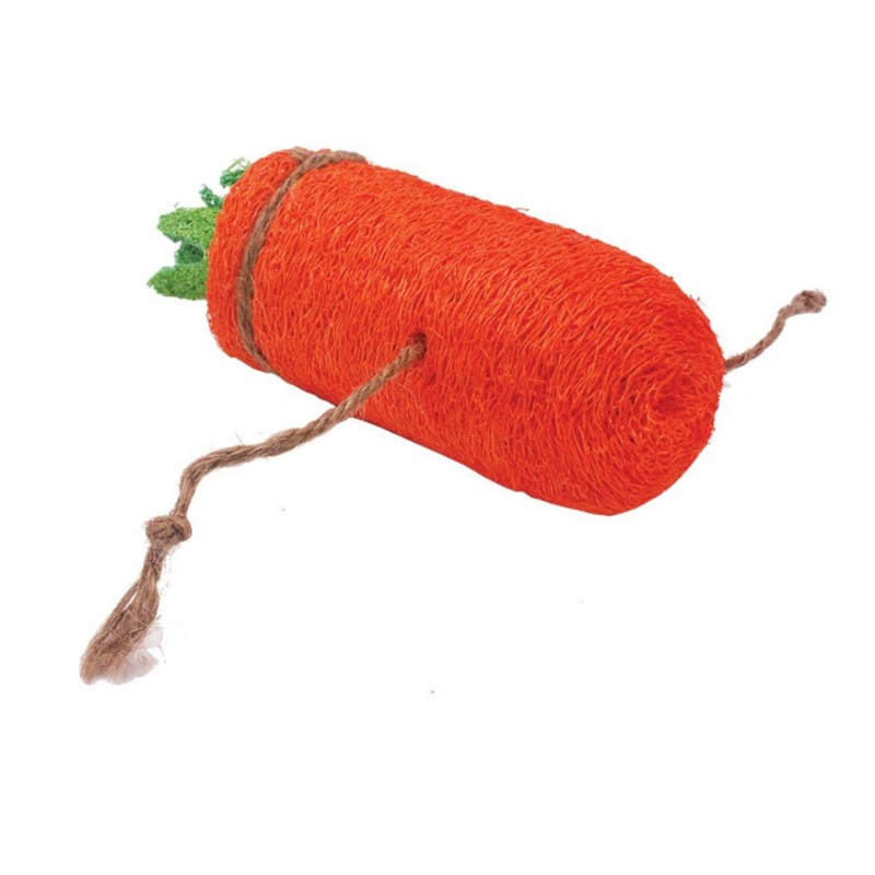 A & E Nibbles Loofah Carrot Small Animal Toy