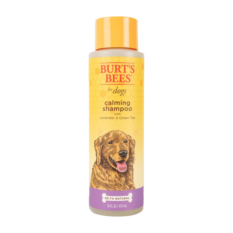 Burt’s Bees for Pets Calming Dog Shampoo with Lavender and Green Tea, 95% Natural Origin Formulas, Soothing Canine Cleanser – Gentle Wash, 16 oz 16oz