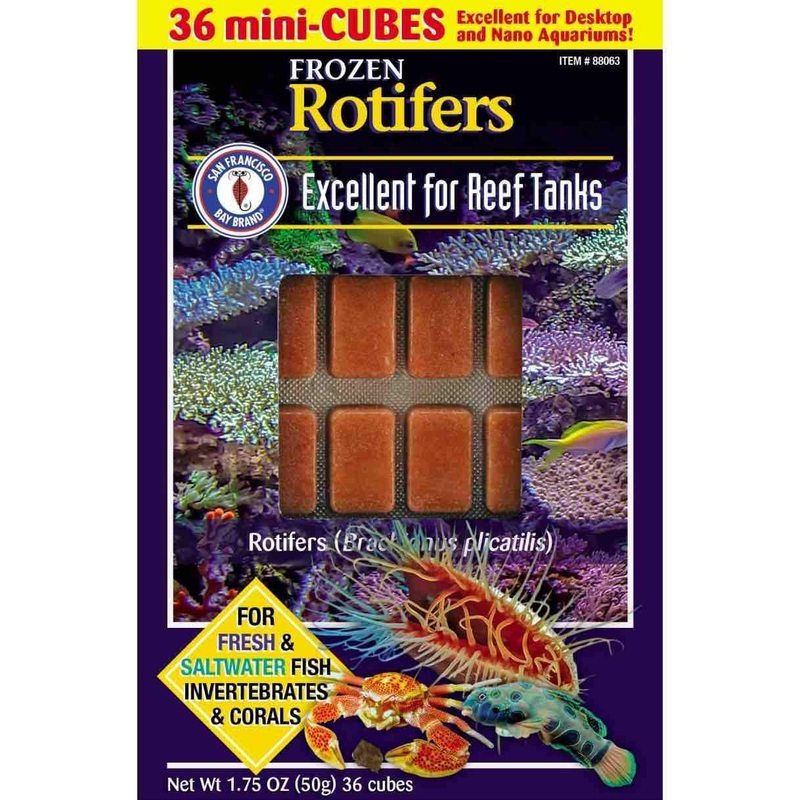 Frozen Rotifers – San Francisco Bay Brand 36 cubes