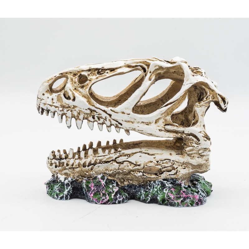 ProRep Resin Allosaurus Skull, 12cm