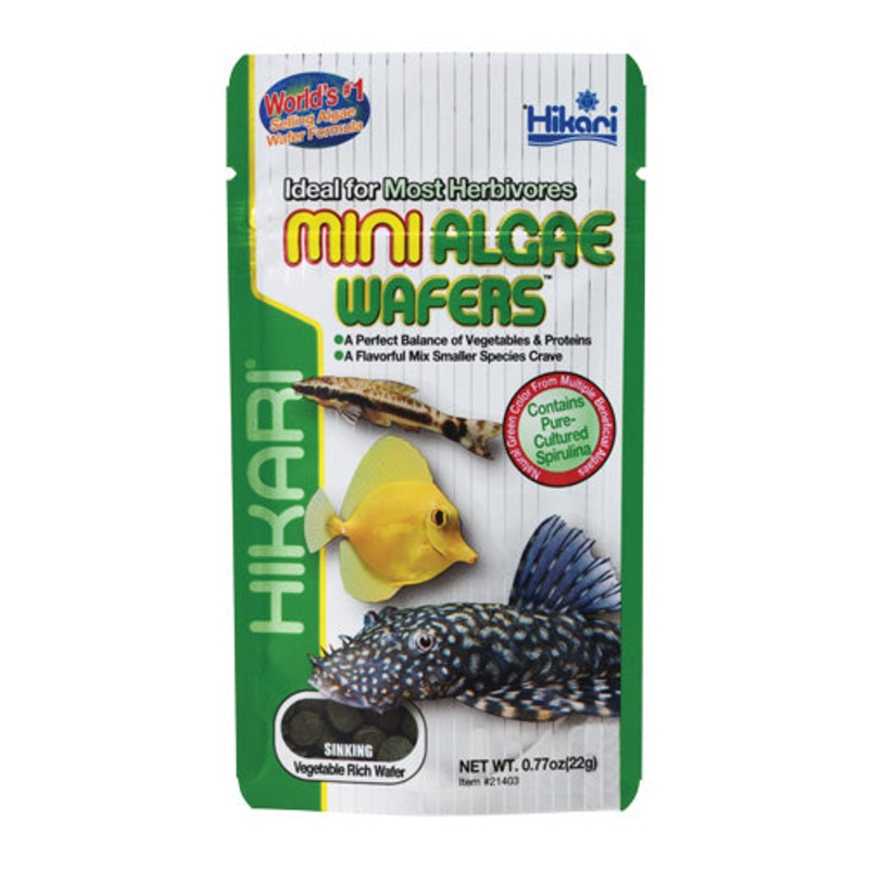 Hikari Mini Algae Wafers .77 oz.