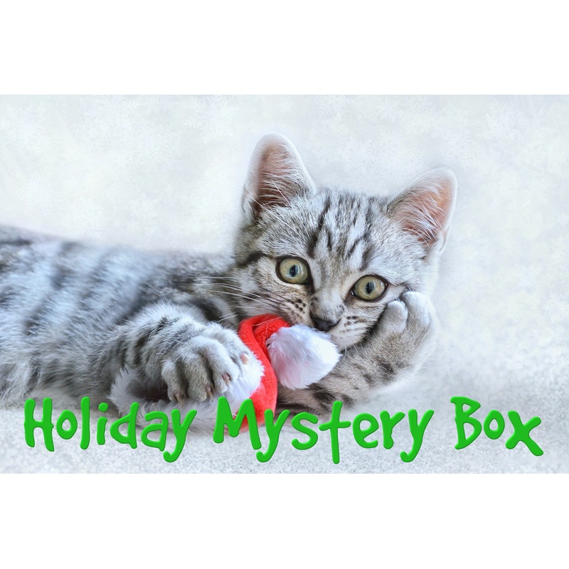Holiday Mystery Box for Cats