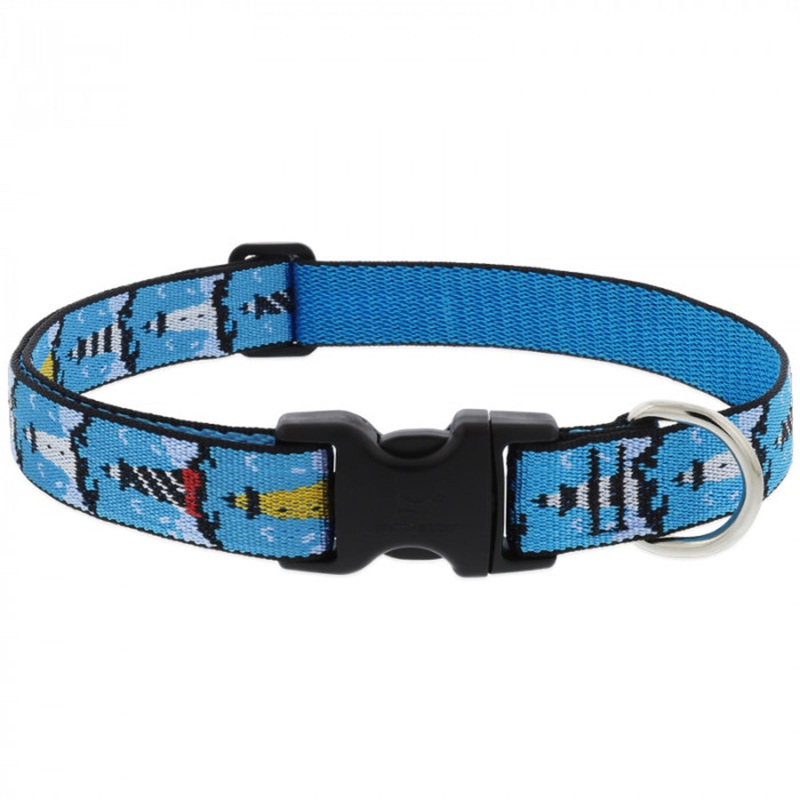 Lupine On The Rocks Adjustable Dog Collar 1″ Wide 16″-28″ Neck Size