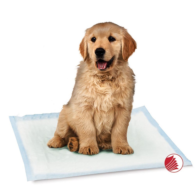 Simply Essentials Training Pads 30 Pack of 22″x22″ Pads
