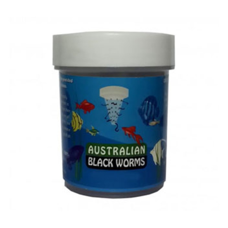 Australian Dried Black Worms (loose) 10g