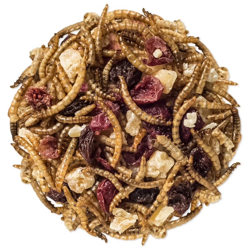Duncraft Super Fruit & Nut Trail Mix Wild Bird Food