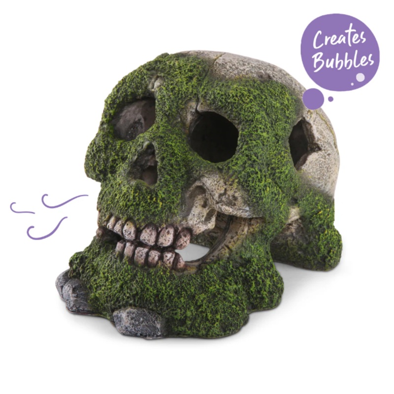 Kazoo – Skull W/Moss & Air Medium