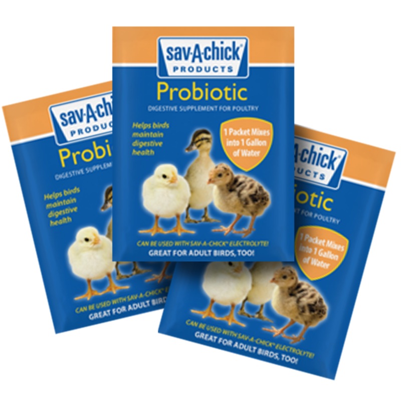 Sav-A-Chick Probiotic Supplement 3 Pack