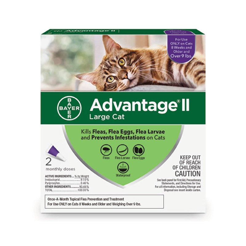 Advantage II Flea Treatment for Large Cat 2 Dose