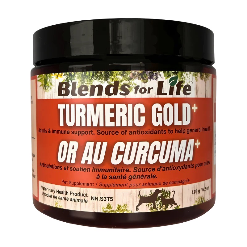 Blends for Life Turmeric Gold+