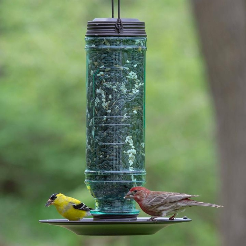 More Birds Songbird Vintage Glass Combination Sunflower/Thistle Bird Feeder, 1.5 lb. capacity