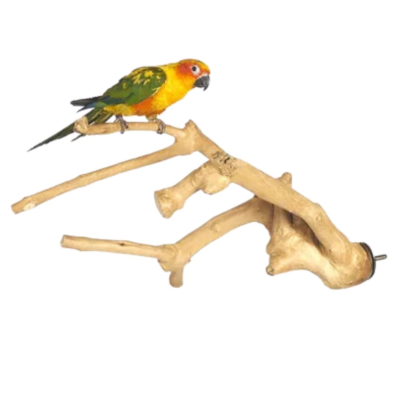 Java Multi-Branch Perch  Medium Natural Wood Perch for Birds