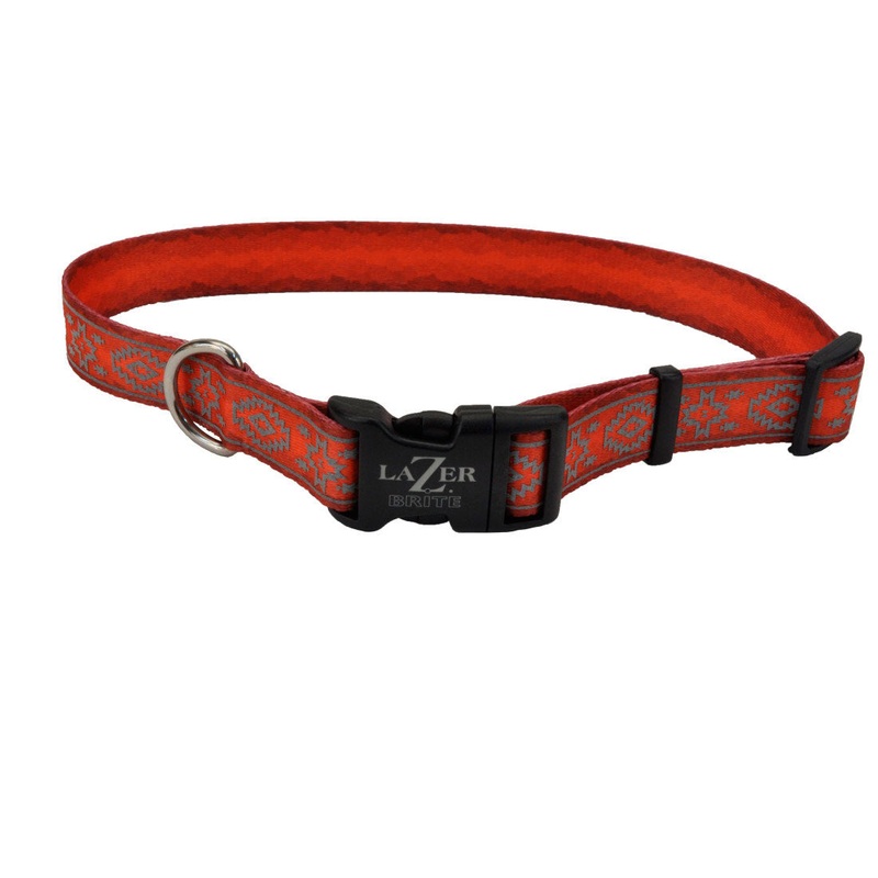 Coastal Pet Products LazerBrite Patterned Collar 5/8″ x 12-18